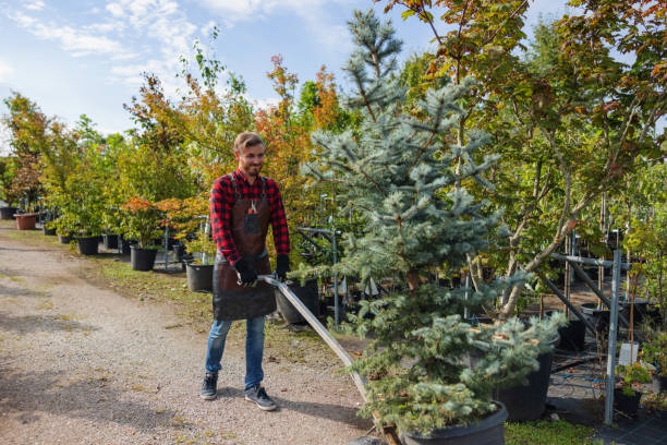 Best Seasonal Cleanup  in Weldon, CA